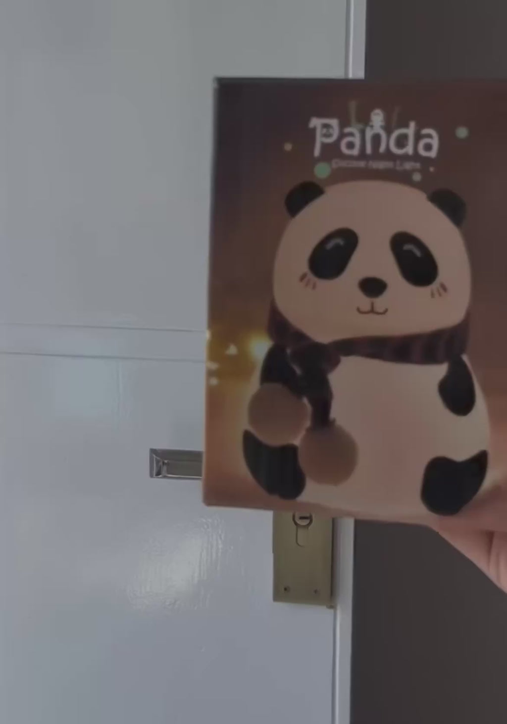 FASTIC Cute Panda USB Rechargeable 7-Color Changing Night Light